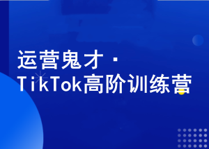 运营鬼才·TikTok高阶训练营-好课程网