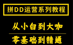 多多运营玩法系列课，从小白到大咖零基础到精通价值500元-好课程网